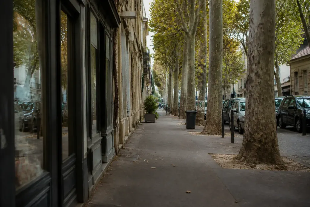 Rue calme bordee de platanes et petits commerces